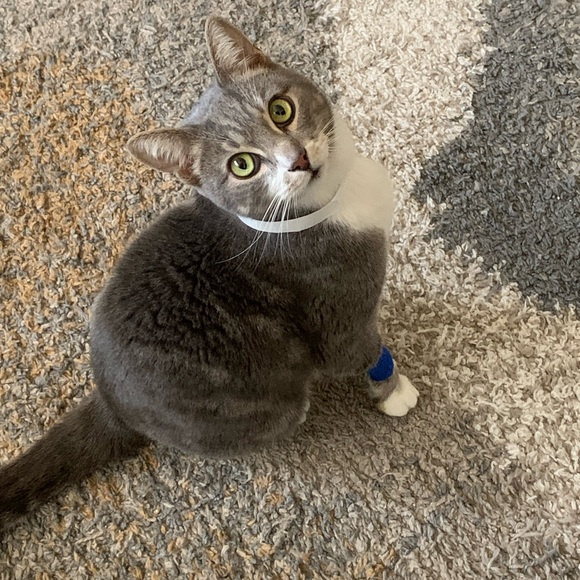 Please Help - Picture 2 of 2